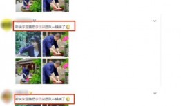 东方粉丝爆料事件视频播放,视频播放背后的真相揭秘